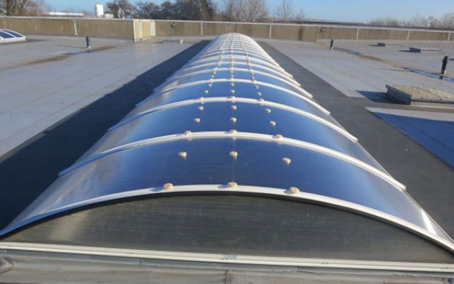 Bird Free gel applied to a skylight